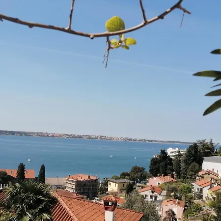 Apartment Apartment Gaia With Private Parking Portoroz