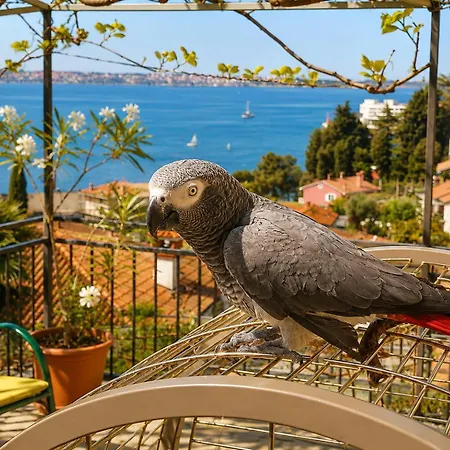 Gaia With Private Parking Apartament Portorož