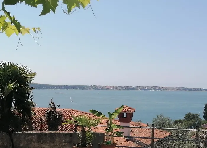 Apartma Gaia 波尔托罗