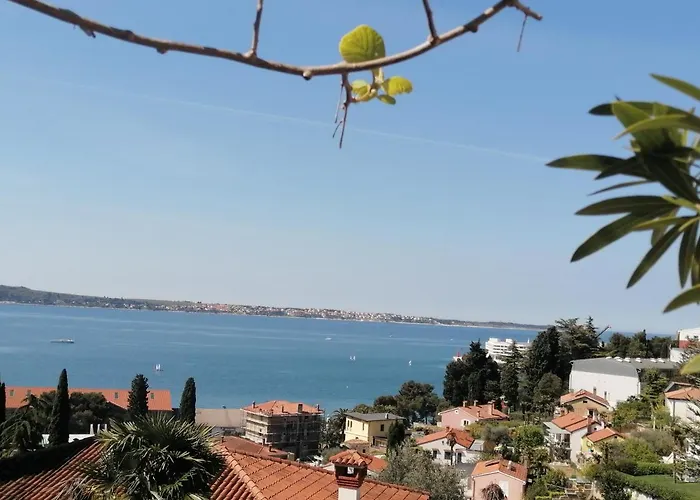 公寓 Apartma Gaia 波尔托罗